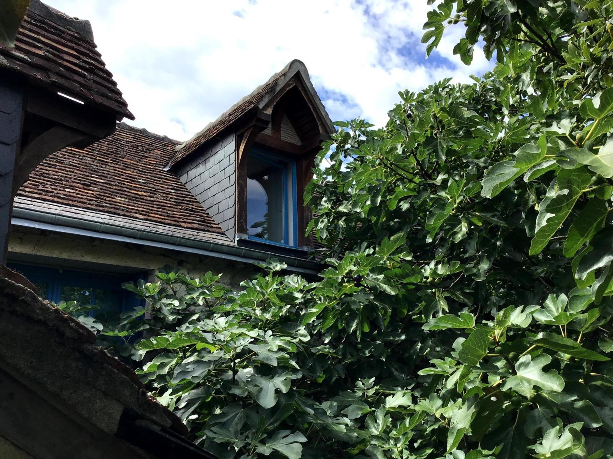 Willa La Maison Bleue De Husseau Ancienne Ferme Semi-Troglodytique 18E Siecle Montlouis-sur-Loire Zewnętrze zdjęcie