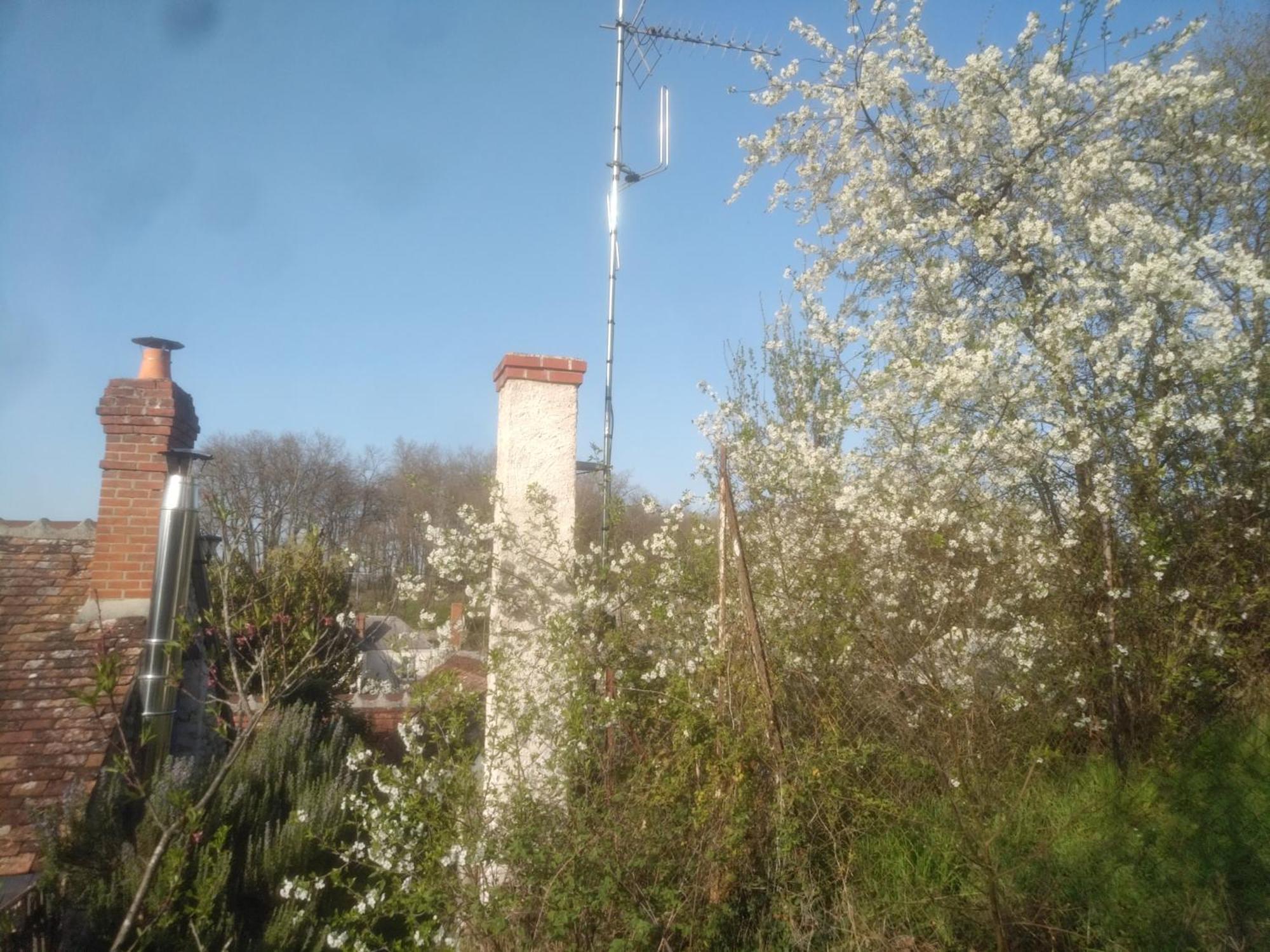 Willa La Maison Bleue De Husseau Ancienne Ferme Semi-Troglodytique 18E Siecle Montlouis-sur-Loire Zewnętrze zdjęcie